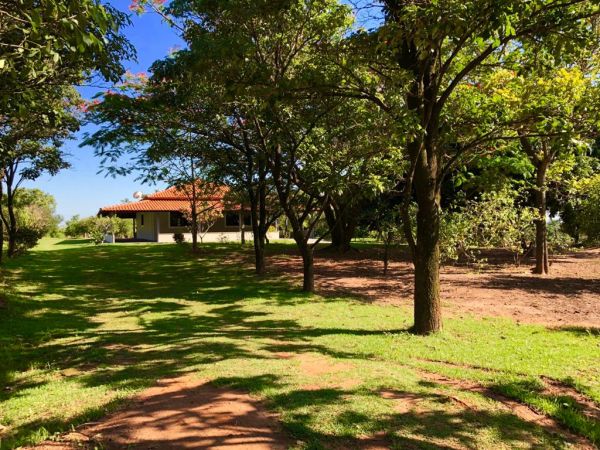 Imóvel Sítio no ESTRADA MARIO COVAS - JUNQUEIRÓPOLIS em Dracena-SP
