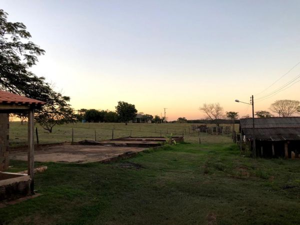 Imóvel Sítio no ESTRADA MARIO COVAS - JUNQUEIRÓPOLIS em Dracena-SP