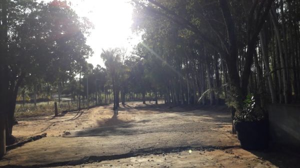 Imóvel Chácara no PALMEIRAS em Dracena-SP