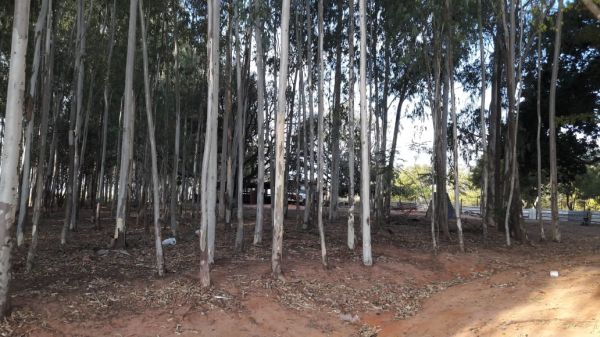 Imóvel Chácara no PALMEIRAS em Dracena-SP