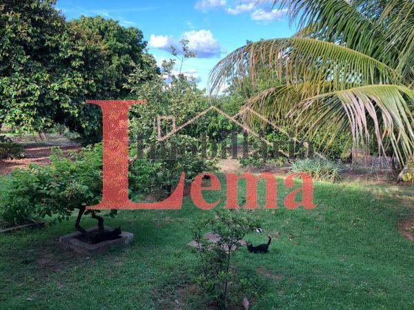 Imóvel Sítio no ESTRADA MARIO COVAS - JUNQUEIRÓPOLIS em Dracena-SP